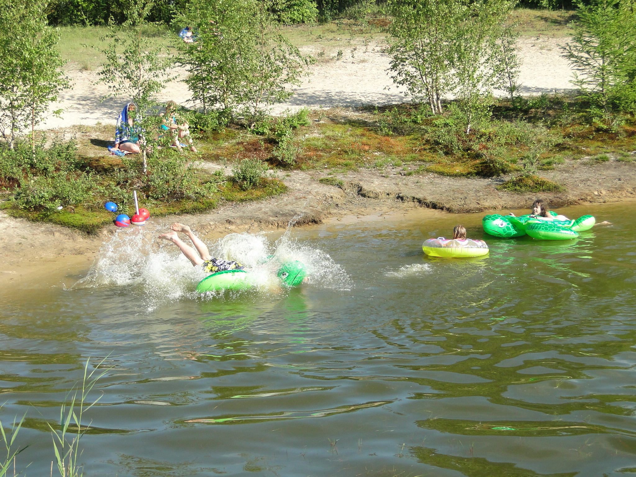 2011HWK 408.jpg